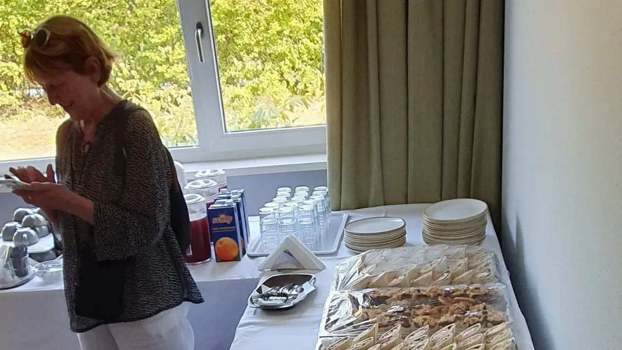 Der Tisch ist reich gedeckt mit vielen kleinen Häppchen, die ordentlich auf Platten angerichtet sind. Eine Frau steht neben dem Buffet und isst etwas, während im Hintergrund ein Fenster mit Blick ins Grüne zu sehen ist. Gläser und Saft stehen bereit, um den Gästen serviert zu werden.