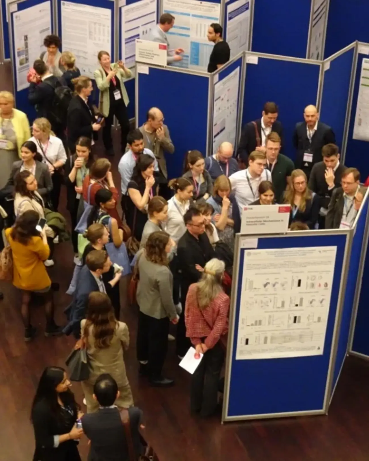 "Eine Gruppe von Menschen versammelt sich in einer Ausstellungshalle vor mehreren blauen Posterwänden, auf denen wissenschaftliche Poster oder Präsentationen angebracht sind. 